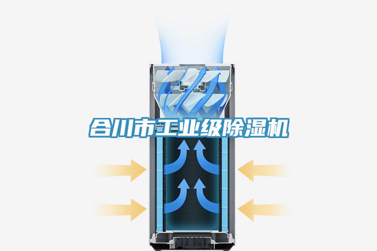 合川市工業(yè)級除濕機