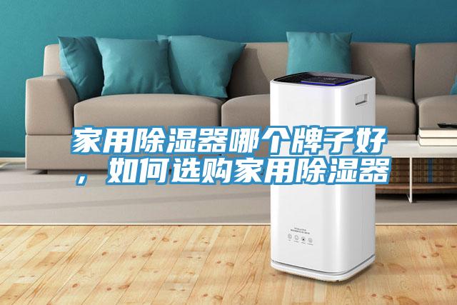家用除濕器哪個(gè)牌子好，如何選購家用除濕器