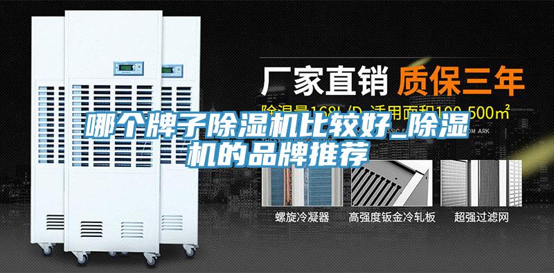 哪個(gè)牌子除濕機比較好_除濕機的品牌推薦