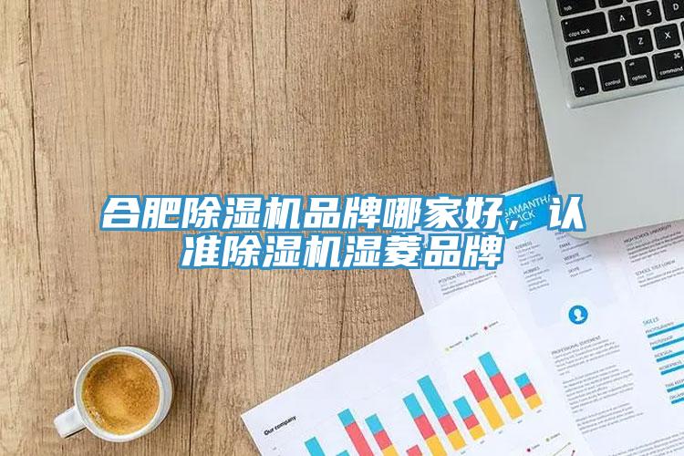 合肥除濕機品牌哪家好，認準除濕機濕菱品牌