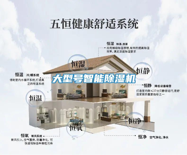 大型號智能除濕機