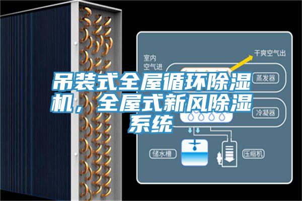 吊裝式全屋循環(huán)除濕機，全屋式新風(fēng)除濕系統