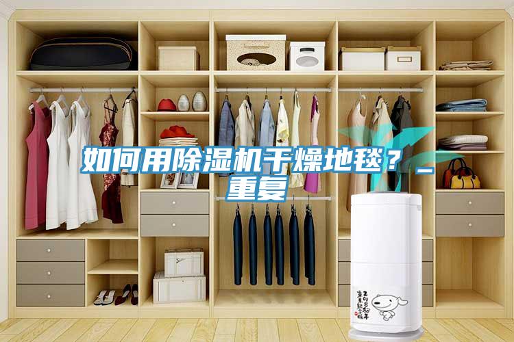 如何用除濕機干燥地毯？_重復