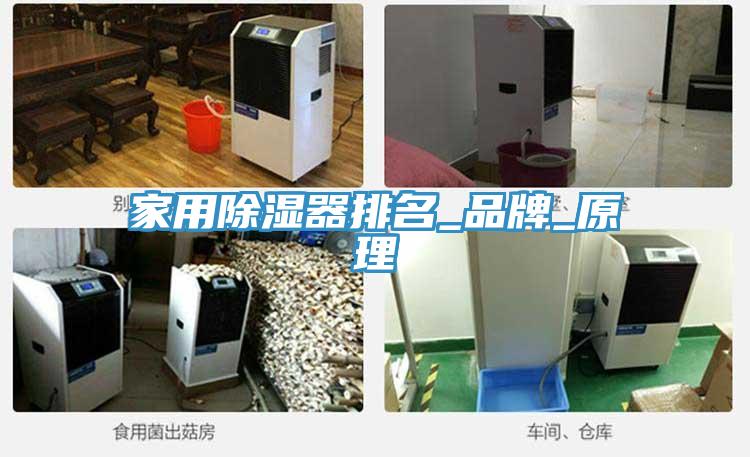 家用除濕器排名_品牌_原理