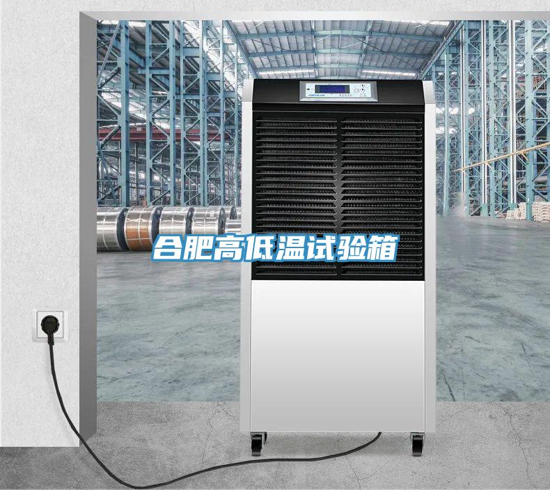 合肥高低溫試驗箱