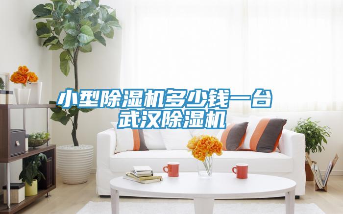 小型除濕機多少錢(qián)一臺 武漢除濕機