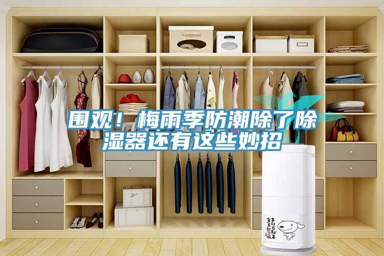 圍觀(guān)！梅雨季防潮除了除濕器還有這些妙招