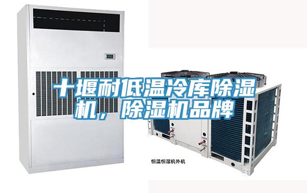 十堰耐低溫冷庫除濕機，除濕機品牌