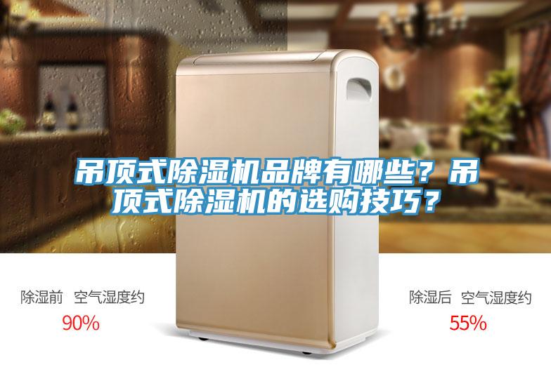 吊頂式除濕機品牌有哪些？吊頂式除濕機的選購技巧？