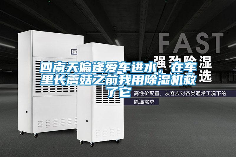 回南天偏逢愛(ài)車(chē)進(jìn)水，在車(chē)里長(cháng)蘑菇之前我用除濕機救了它