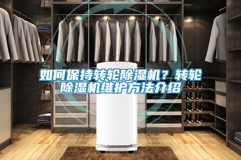 如何保持轉輪除濕機？轉輪除濕機維護方法介紹