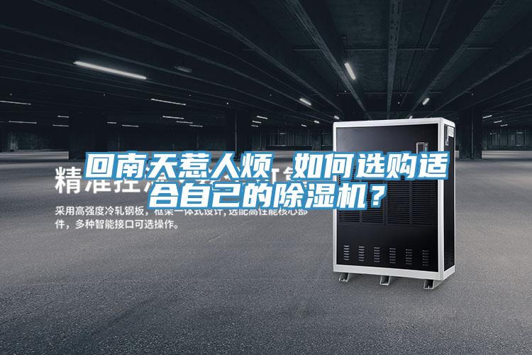 回南天惹人煩 如何選購適合自己的除濕機？