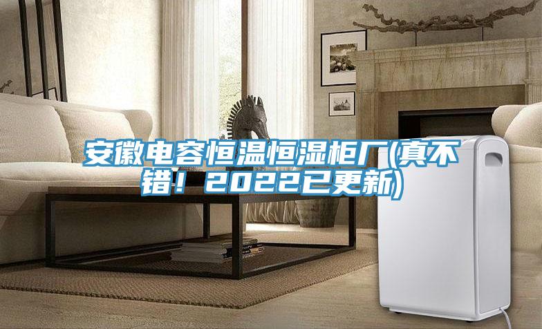 安徽電容恒溫恒濕柜廠(chǎng)(真不錯！2022已更新)