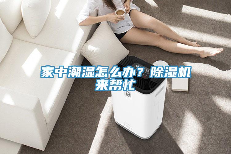 家中潮濕怎么辦？除濕機來(lái)幫忙