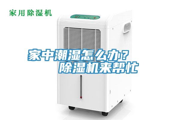 家中潮濕怎么辦？    除濕機來(lái)幫忙