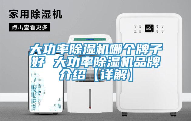 大功率除濕機哪個(gè)牌子好 大功率除濕機品牌介紹【詳解】