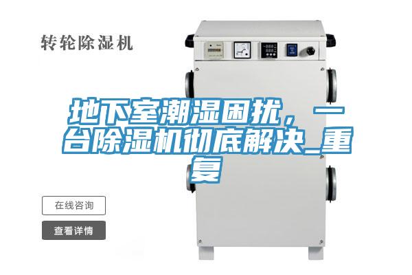 地下室潮濕困擾，一臺除濕機徹底解決_重復