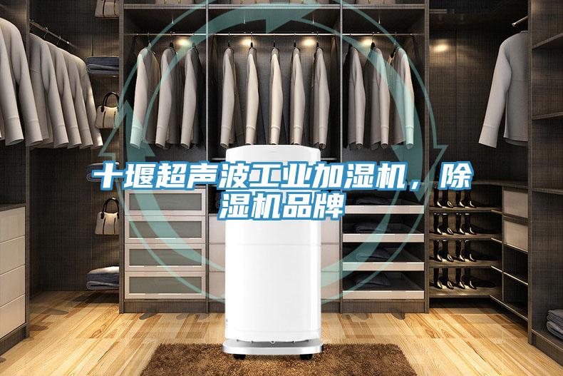 十堰超聲波工業(yè)加濕機，除濕機品牌