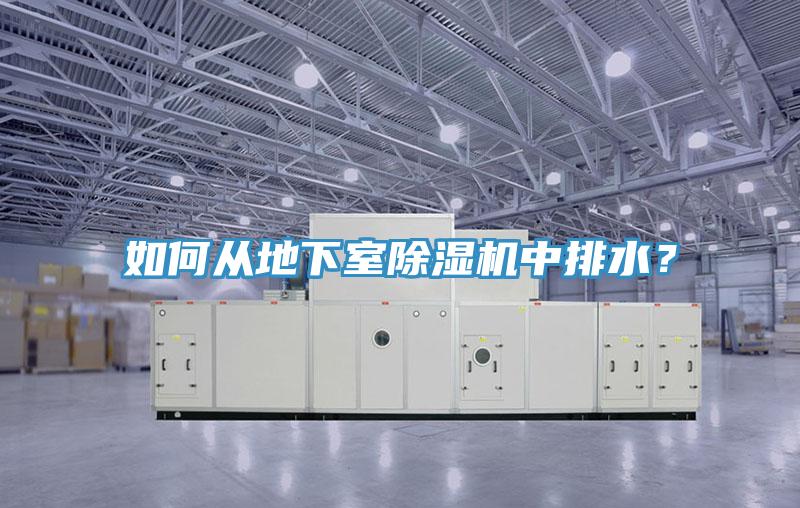 如何從地下室除濕機中排水？