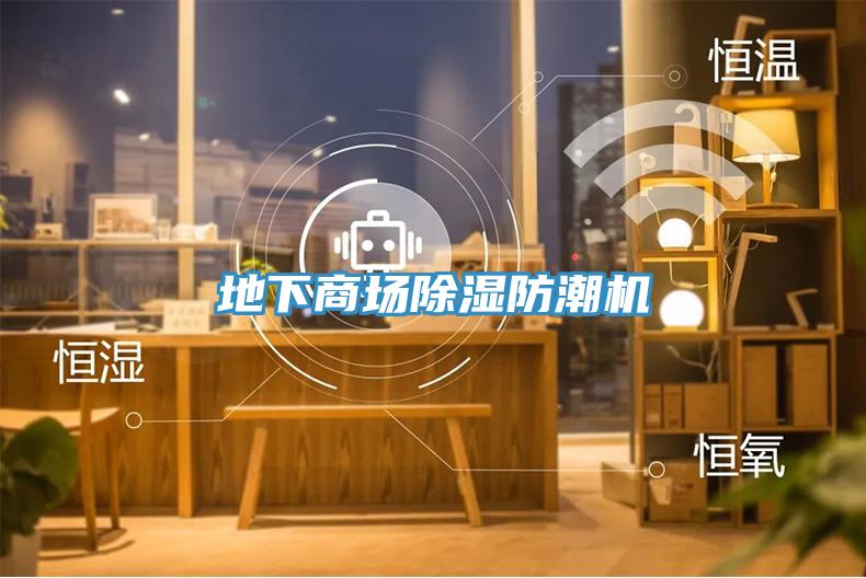地下商場(chǎng)除濕防潮機