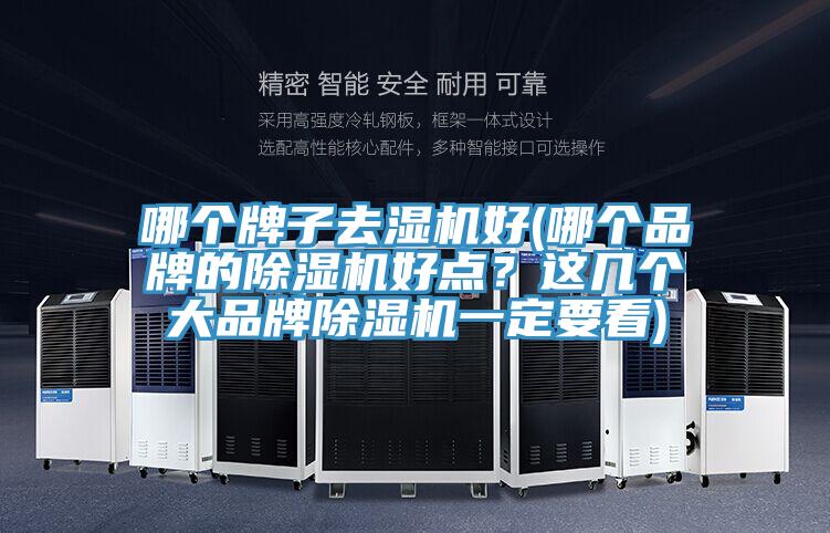 哪個(gè)牌子去濕機好(哪個(gè)品牌的除濕機好點(diǎn)？這幾個(gè)大品牌除濕機一定要看)