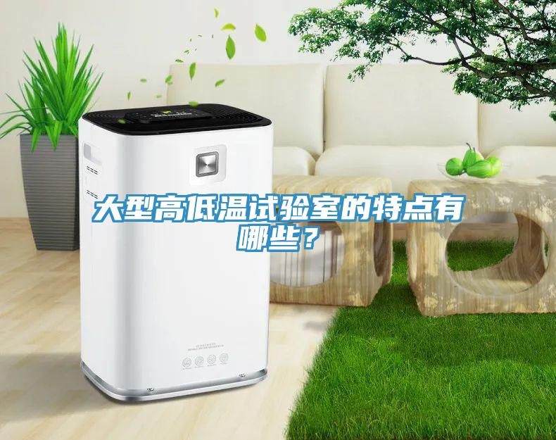大型高低溫試驗室的特點(diǎn)有哪些？
