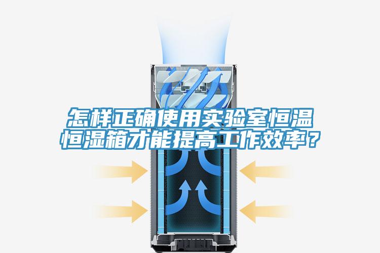 怎樣正確使用實(shí)驗室恒溫恒濕箱才能提高工作效率？