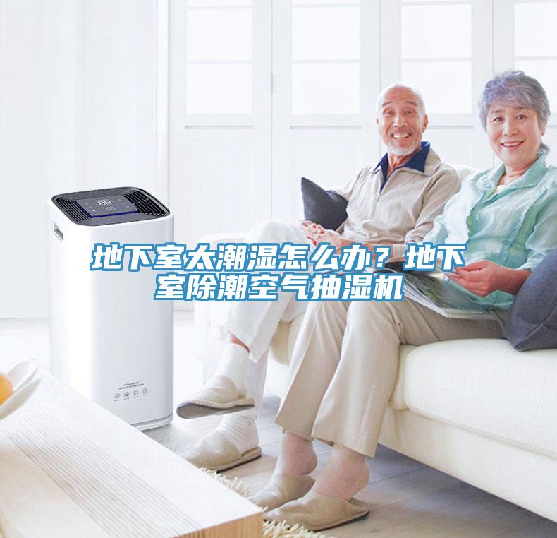 地下室太潮濕怎么辦？地下室除潮空氣抽濕機