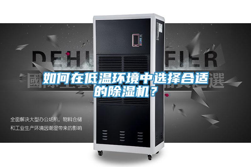 如何在低溫環(huán)境中選擇合適的除濕機？