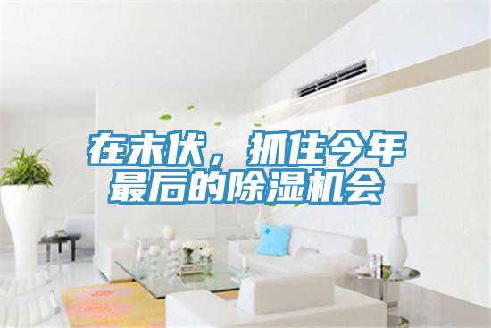 在末伏，抓住今年最后的除濕機會(huì )