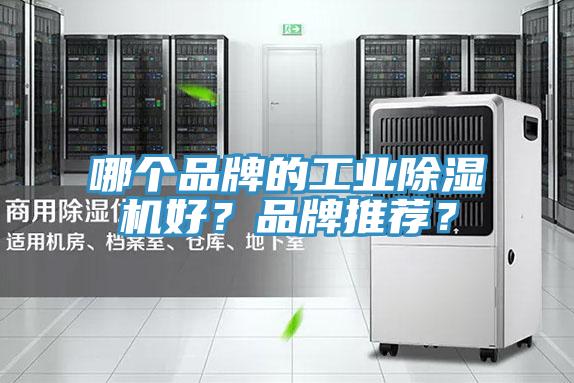 哪個(gè)品牌的工業(yè)除濕機好？品牌推薦？