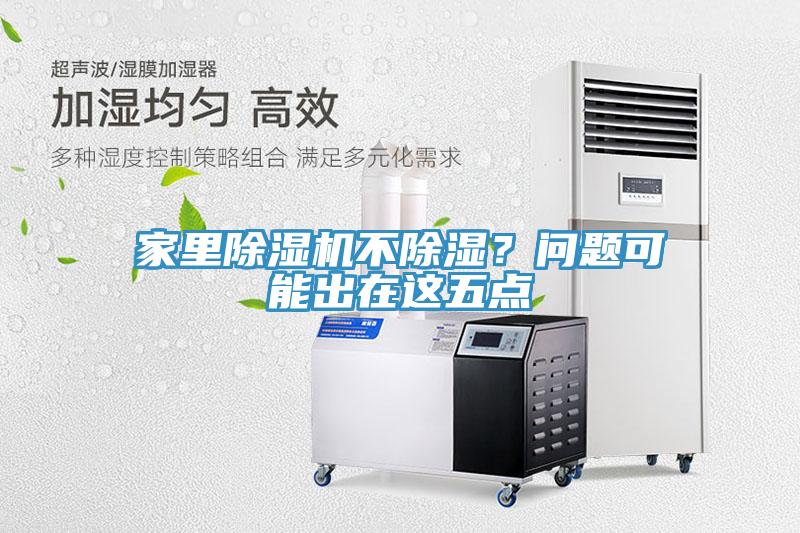 家里除濕機不除濕？問(wèn)題可能出在這五點(diǎn)