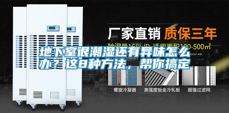 地下室很潮濕還有異味怎么辦？這8種方法，幫你搞定