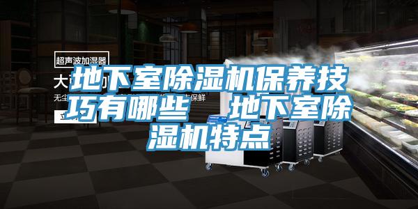 地下室除濕機保養技巧有哪些  地下室除濕機特點(diǎn)