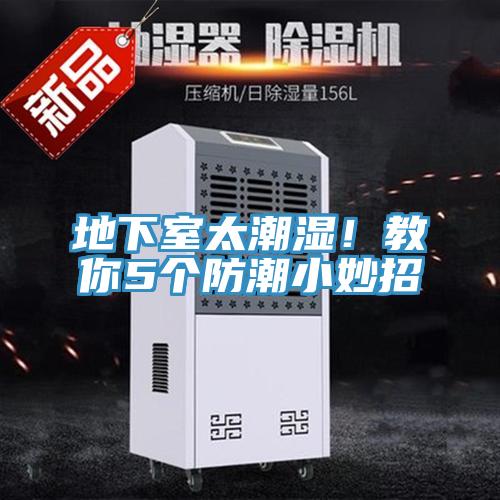 地下室太潮濕！教你5個(gè)防潮小妙招