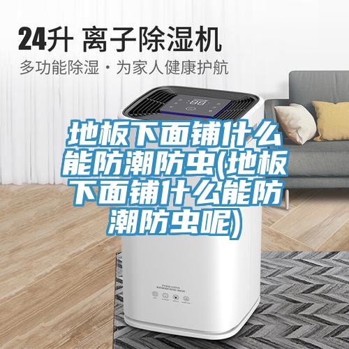 地板下面鋪什么能防潮防蟲(chóng)(地板下面鋪什么能防潮防蟲(chóng)呢)