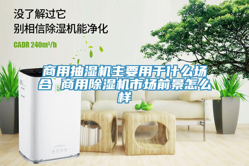 商用抽濕機主要用于什么場(chǎng)合 商用除濕機市場(chǎng)前景怎么樣