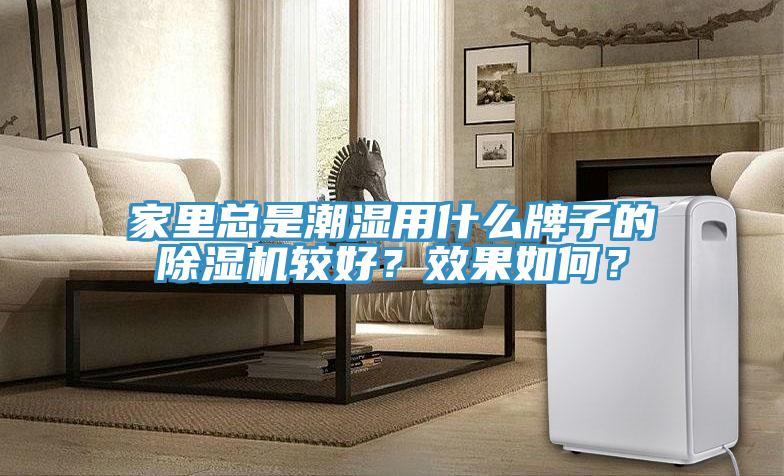家里總是潮濕用什么牌子的除濕機較好？效果如何？