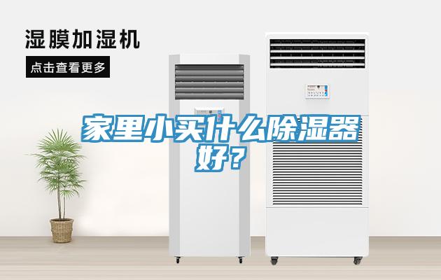 家里小買(mǎi)什么除濕器好？