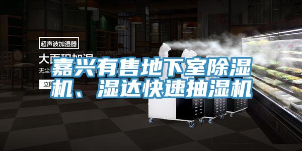 嘉興有售地下室除濕機、濕達快速抽濕機