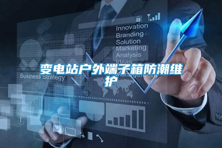 變電站戶(hù)外端子箱防潮維護