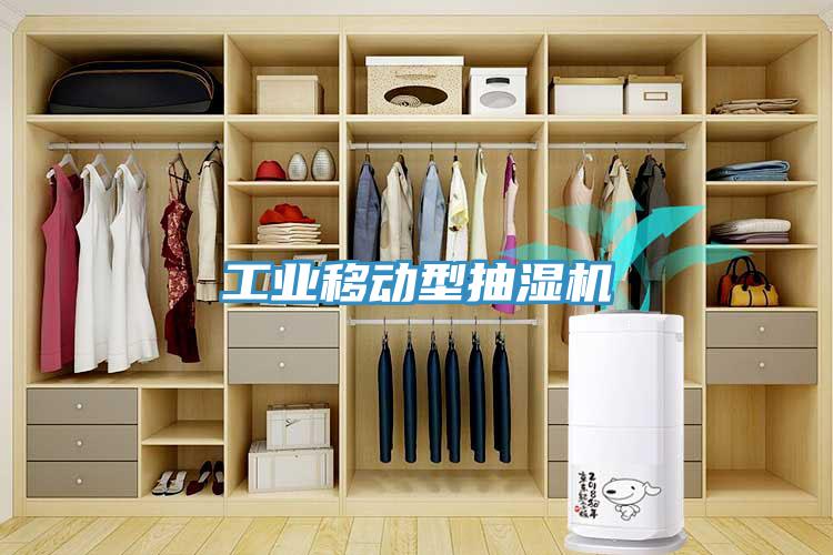 工業(yè)移動(dòng)型抽濕機