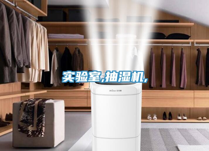 實(shí)驗室,抽濕機,