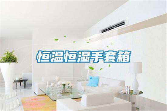 恒溫恒濕手套箱