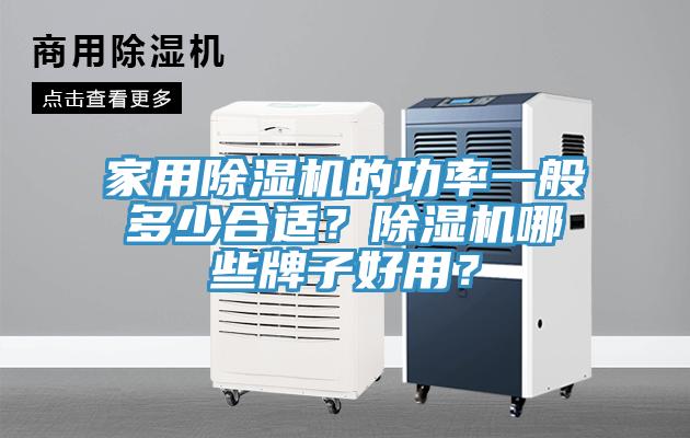 家用除濕機的功率一般多少合適？除濕機哪些牌子好用？