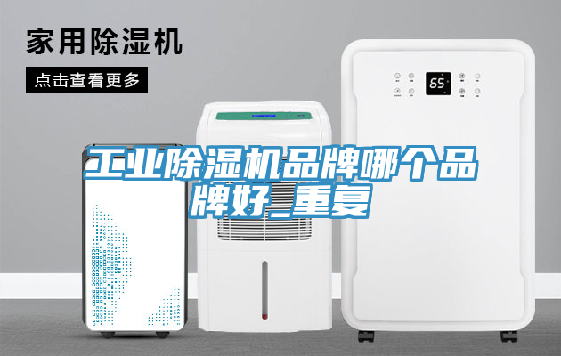 工業(yè)除濕機品牌哪個(gè)品牌好_重復