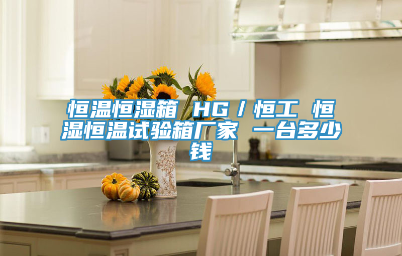 恒溫恒濕箱 HG／恒工 恒濕恒溫試驗箱廠(chǎng)家 一臺多少錢(qián)