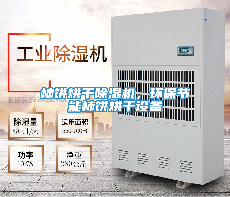 柿餅烘干除濕機，環(huán)保節能柿餅烘干設備