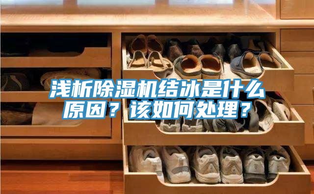 淺析除濕機結冰是什么原因？該如何處理？