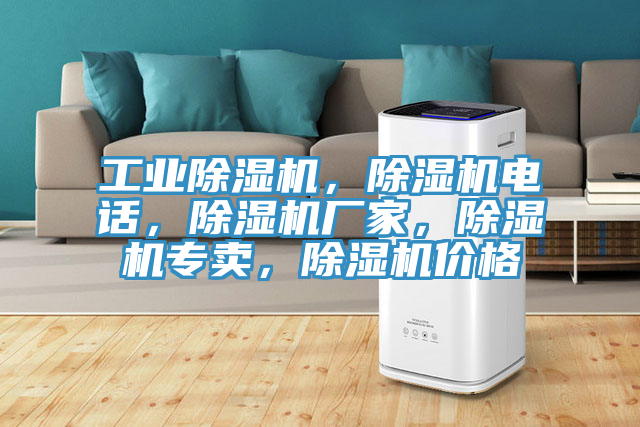 工業(yè)除濕機，除濕機電話(huà)，除濕機廠(chǎng)家，除濕機專(zhuān)賣(mài)，除濕機價(jià)格